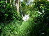 dscf4737.jpg
