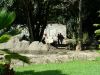 dscf4740.jpg