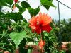 dscf4744.jpg